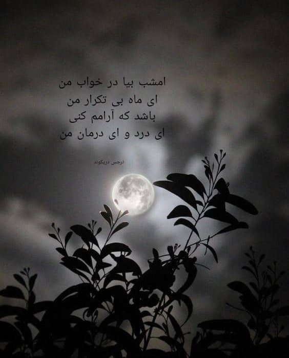 اثری از نرجس دریکوند از شاعران انتشارات حوزه مشق