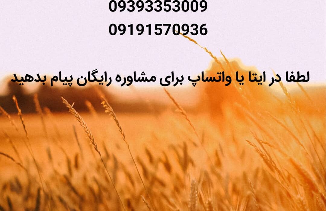 دانشگاه علامه طباطبایی، خانه‌ی تفکر و نشر اندیشه